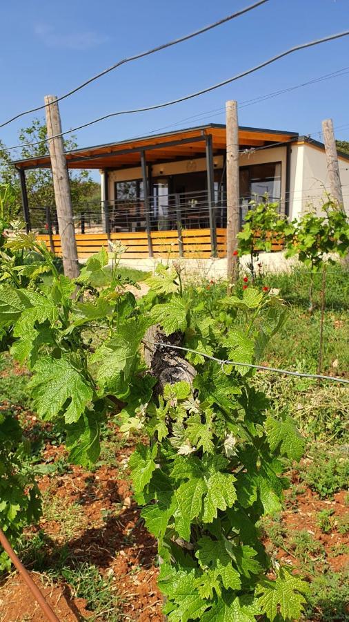 Collis Winery - Family & Friends - Mobilhome Rovinj Exterior photo