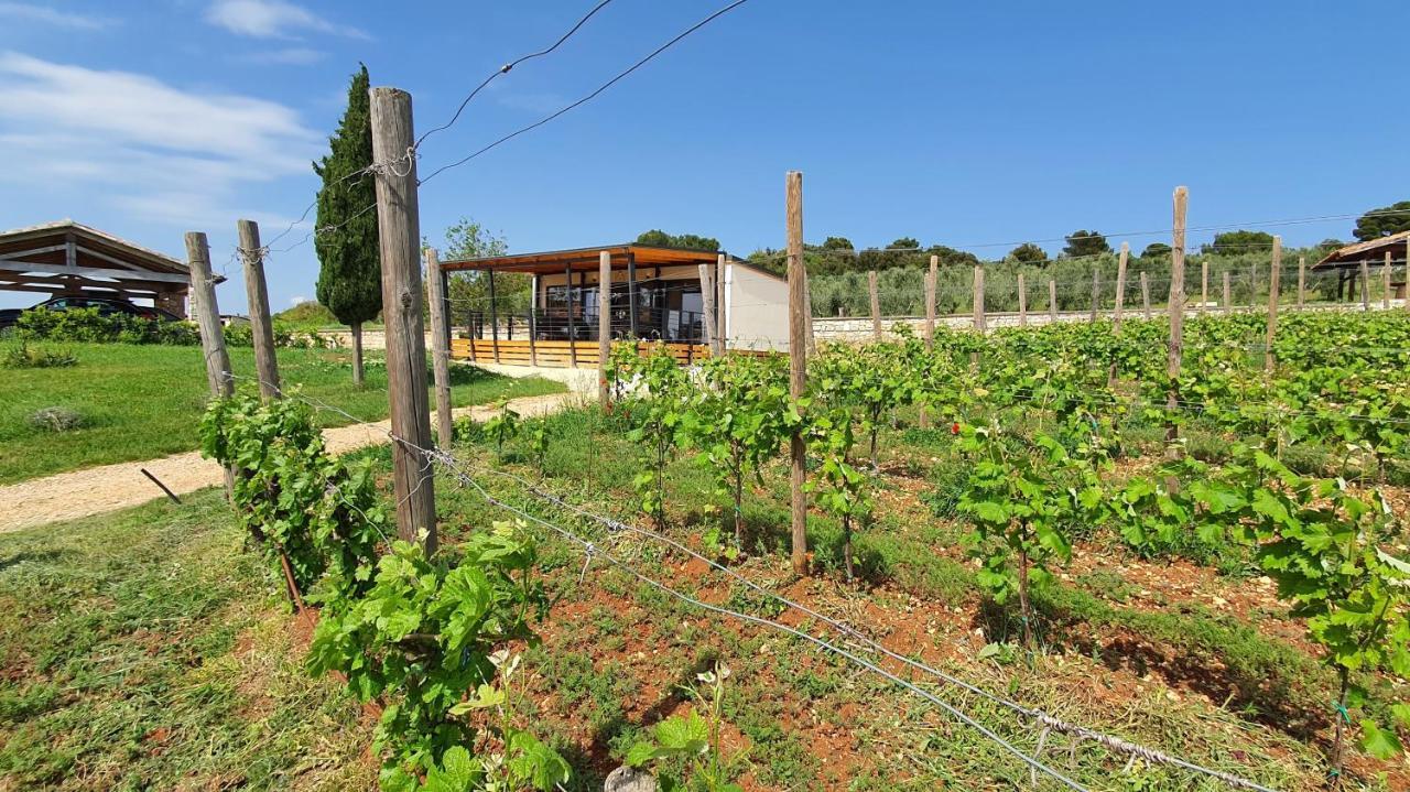 Collis Winery - Family & Friends - Mobilhome Rovinj Exterior photo